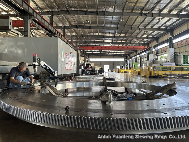Yuanfeng slewing ring products